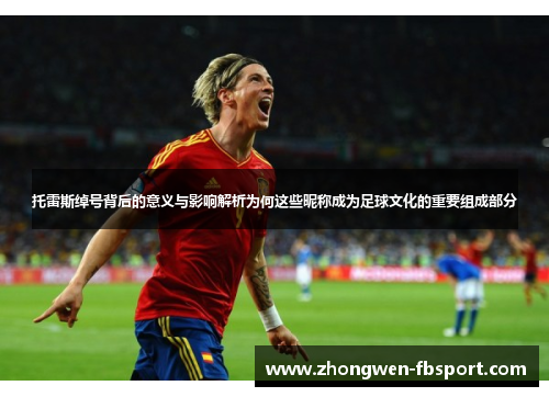 托雷斯绰号背后的意义与影响解析为何这些昵称成为足球文化的重要组成部分 托雷斯绰号背后的意义与影响解析为何这些昵称成为足球文化的重要组成部分