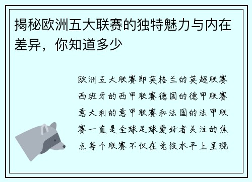 揭秘欧洲五大联赛的独特魅力与内在差异，你知道多少