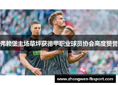 弗赖堡主场草坪获德甲职业球员协会高度赞誉