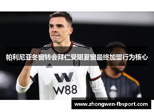 帕利尼亚冬窗转会拜仁受阻夏窗最终加盟行为核心 帕利尼亚冬窗转会拜仁受阻夏窗最终加盟行为核心
